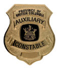 auxiliary badge