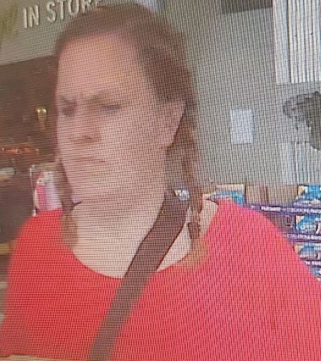 The woman is described as: Caucasian, brown or dirty blond hair in braided pig tails, red or orange shirt.