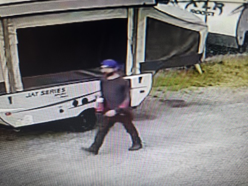 Video surveillance photo of man involved in theft and damage to property. Wearing a blue hat and dark clothing.