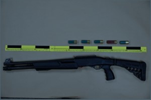 A pump action shotgun with several shotgun shells above it.