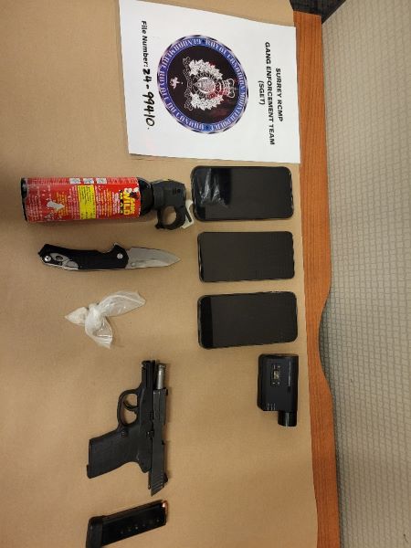 Photo of firearm, magazine, knife, bear spray, cell phones, digital video recorder and suspected MDMA.