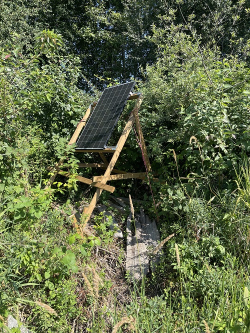 Un panneau solaire unique monté sur un cadre en bois entouré d’herbe, de buissons et d’arbres.