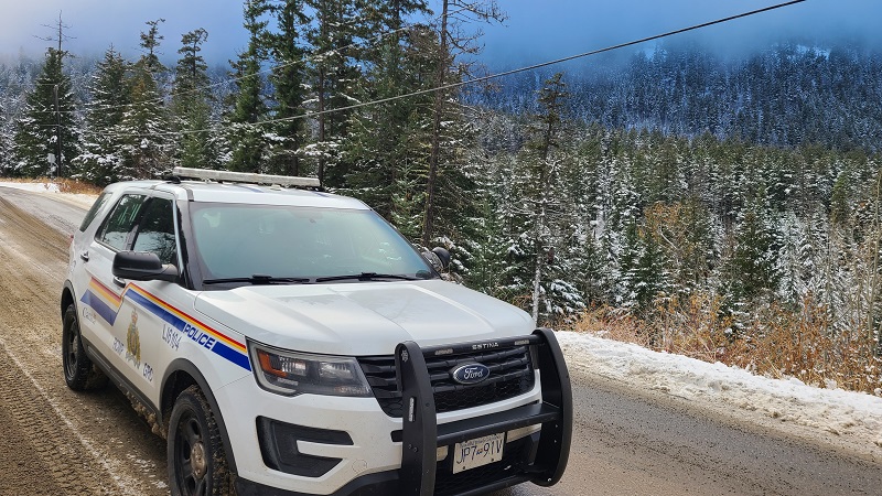 Police vehicle with view of forest and eagle in background