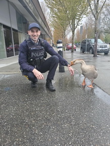 police officer with duck on sidewalk