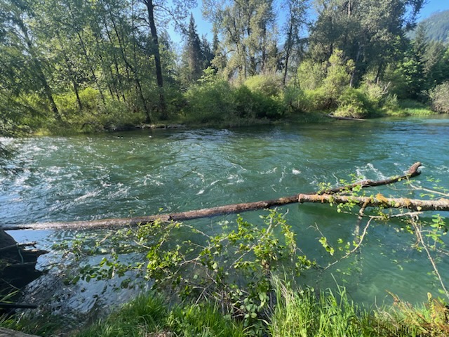 Cowichan River