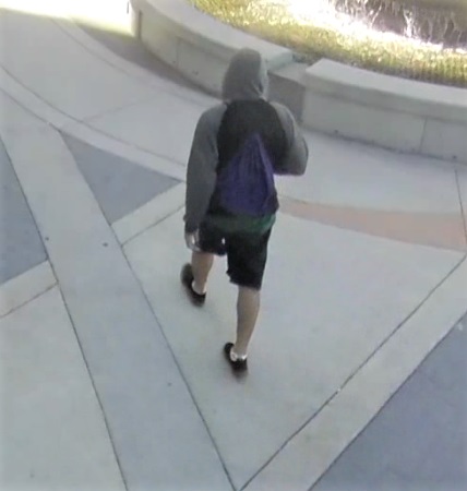 Photo of back of suspect 